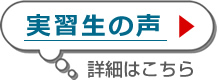 実習生の声